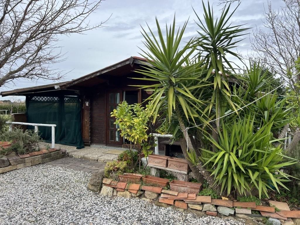 Immagine 1 di Terreno agricolo in vendita  a Bibbona