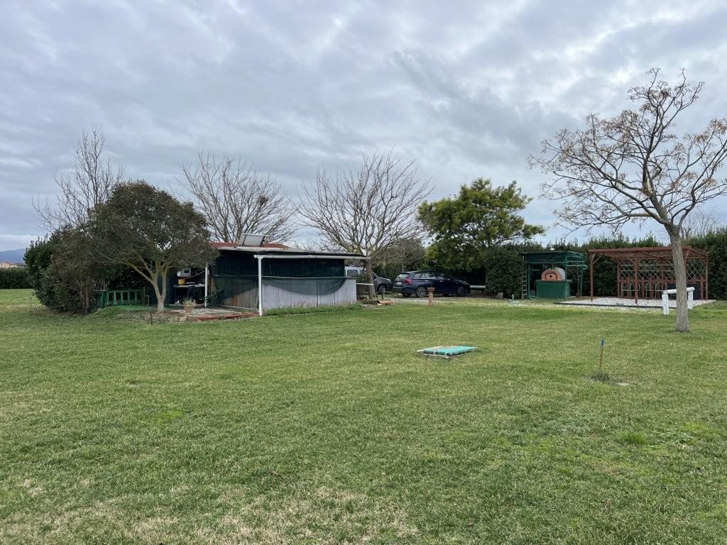 Immagine 23 di Terreno agricolo in vendita  a Bibbona