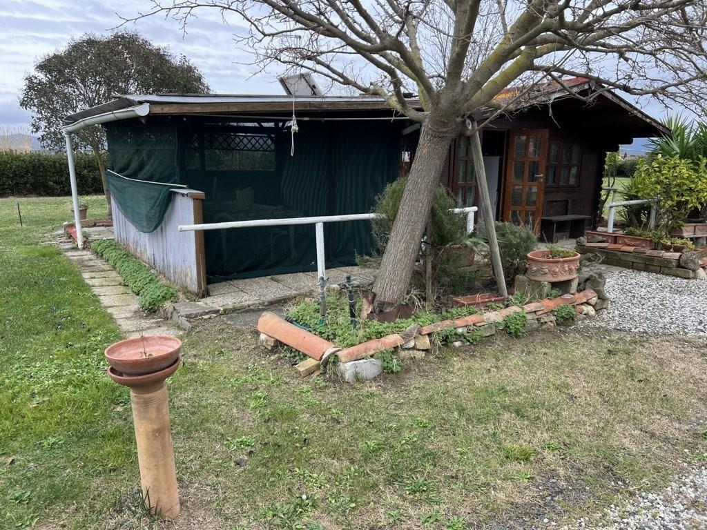 Immagine 2 di Terreno agricolo in vendita  a Bibbona