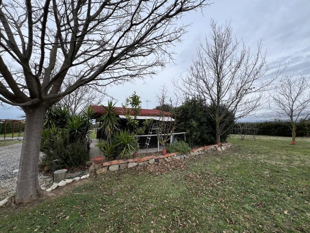 Immagine 16 di Terreno agricolo in vendita  a Bibbona