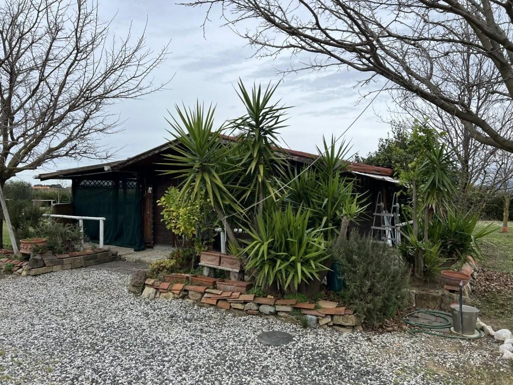 Immagine 28 di Terreno agricolo in vendita  a Bibbona