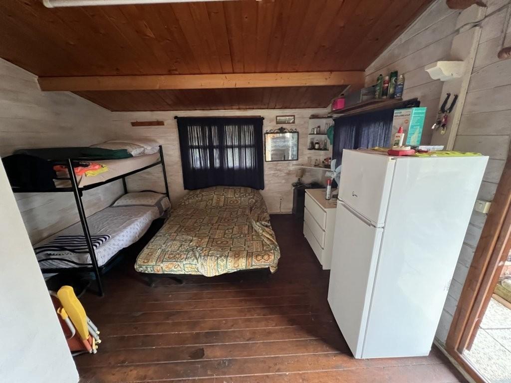 Immagine 7 di Terreno agricolo in vendita  a Bibbona