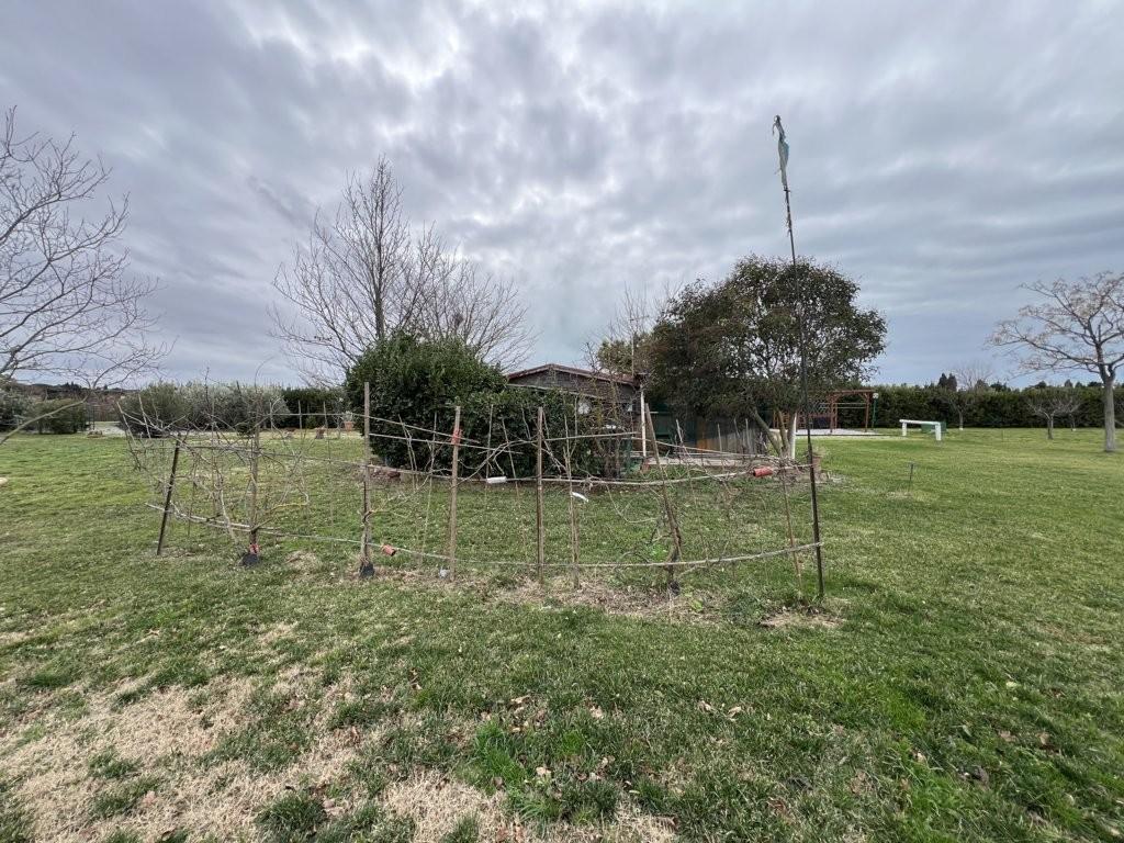 Immagine 24 di Terreno agricolo in vendita  a Bibbona