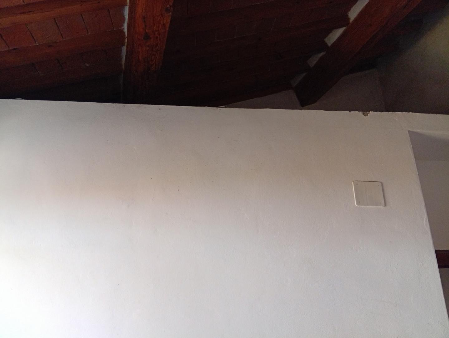 Immagine 8 di Terratetto in vendita  a Pisa