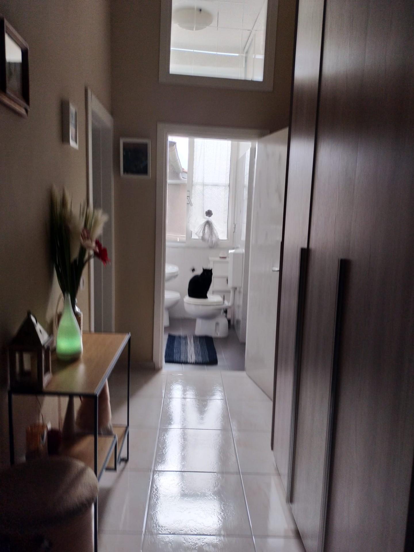 Immagine 11 di Appartamento in vendita  a Livorno