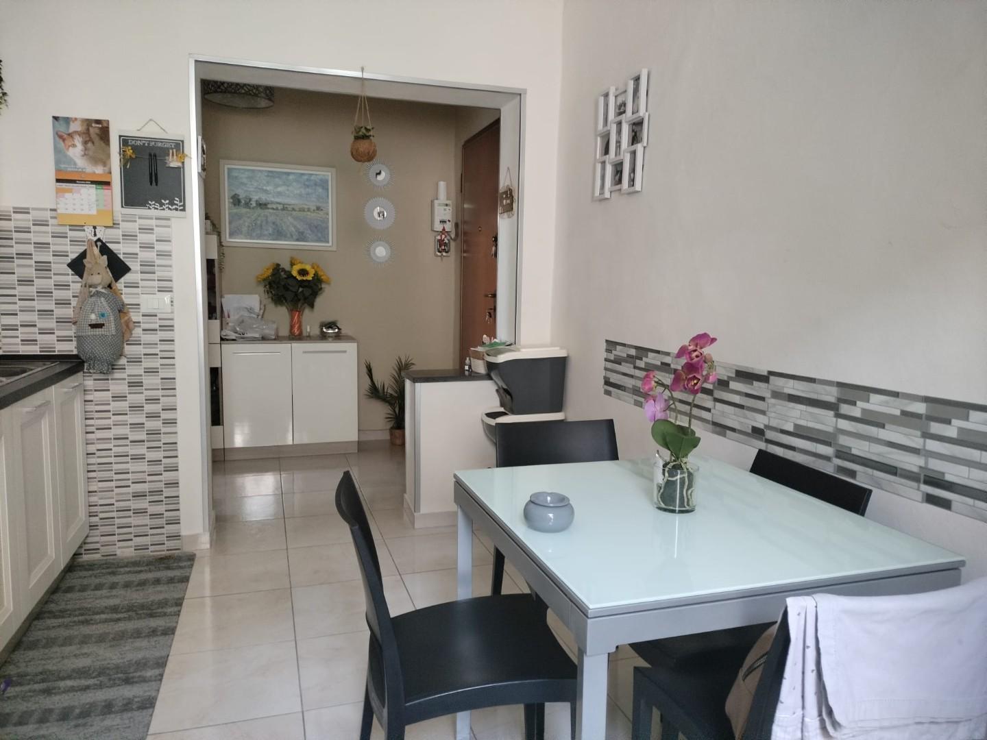 Immagine 9 di Appartamento in vendita  a Livorno