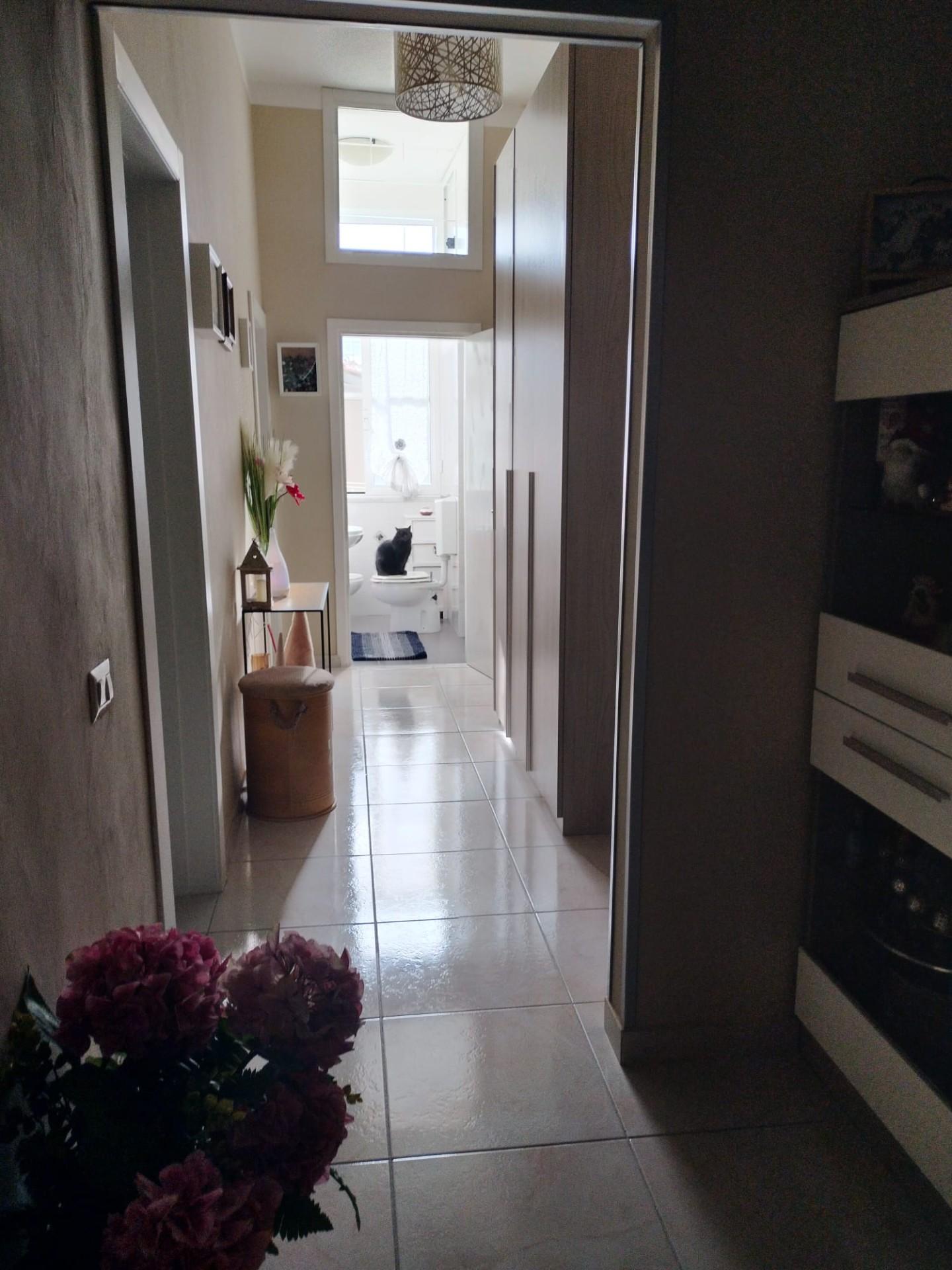 Immagine 10 di Appartamento in vendita  a Livorno