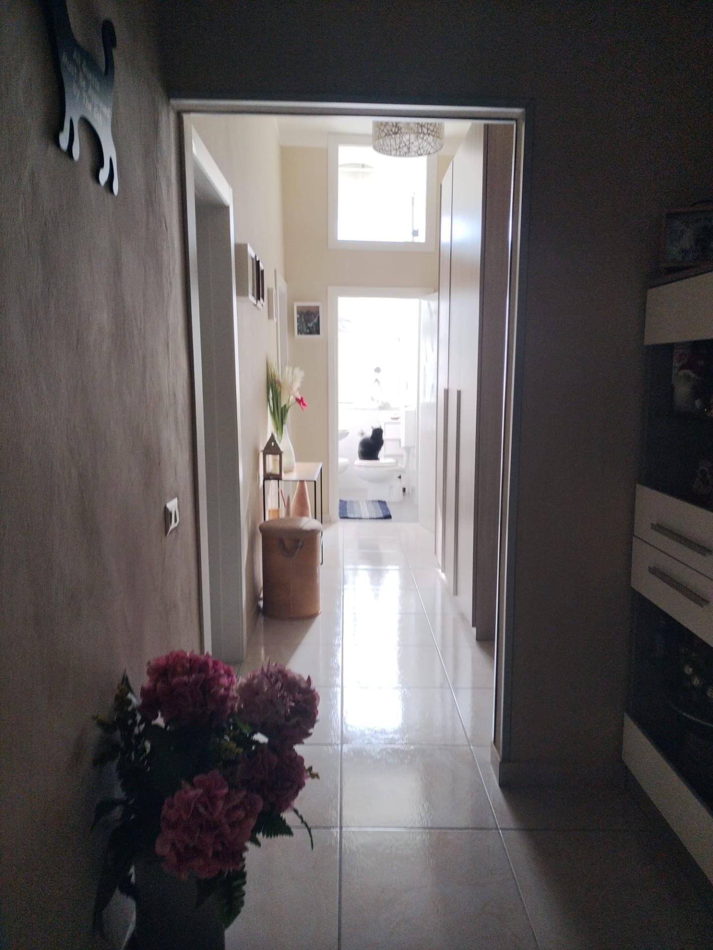 Immagine 13 di Appartamento in vendita  a Livorno