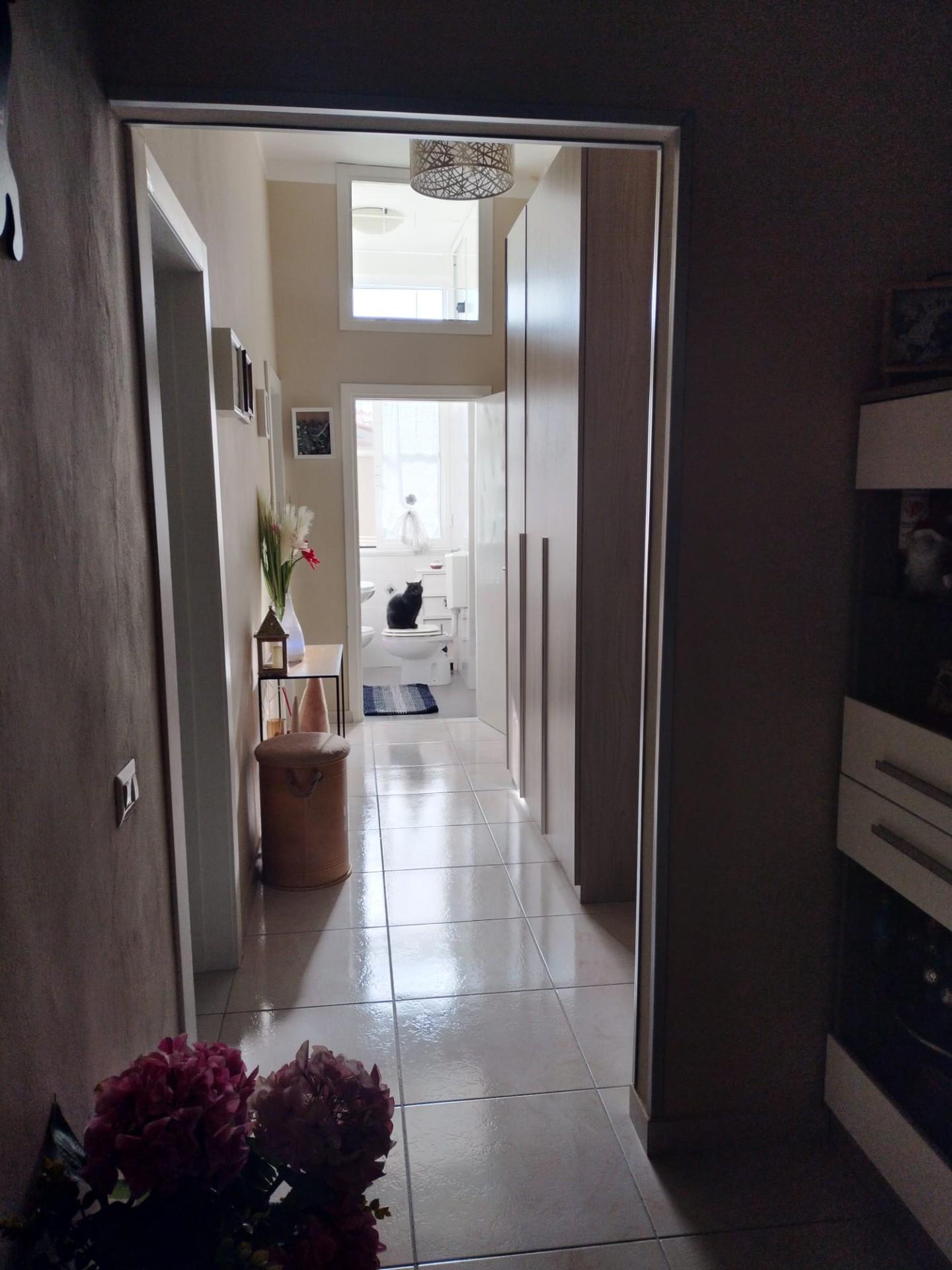 Immagine 7 di Appartamento in vendita  a Livorno