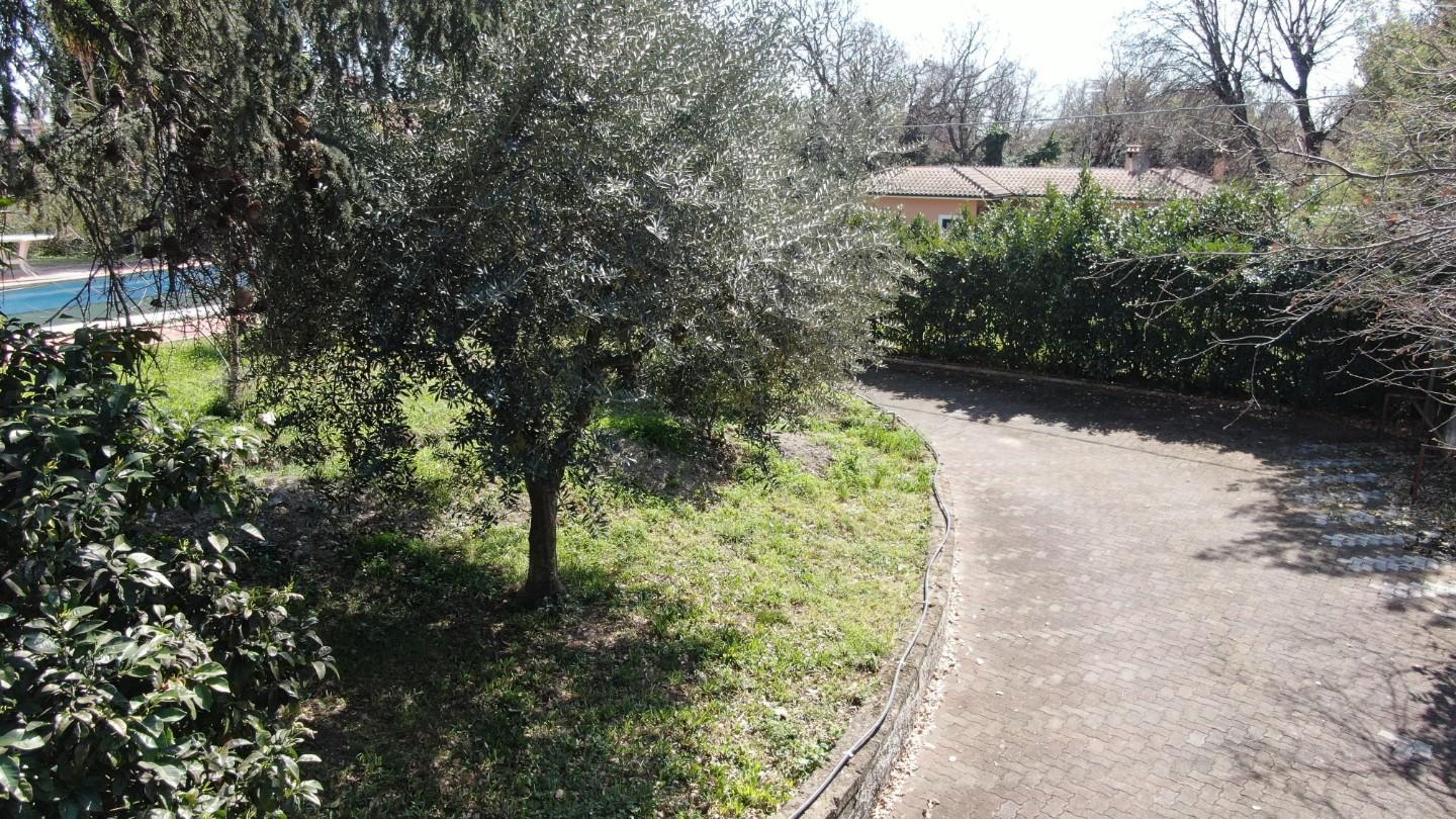 Foto annuncio 72