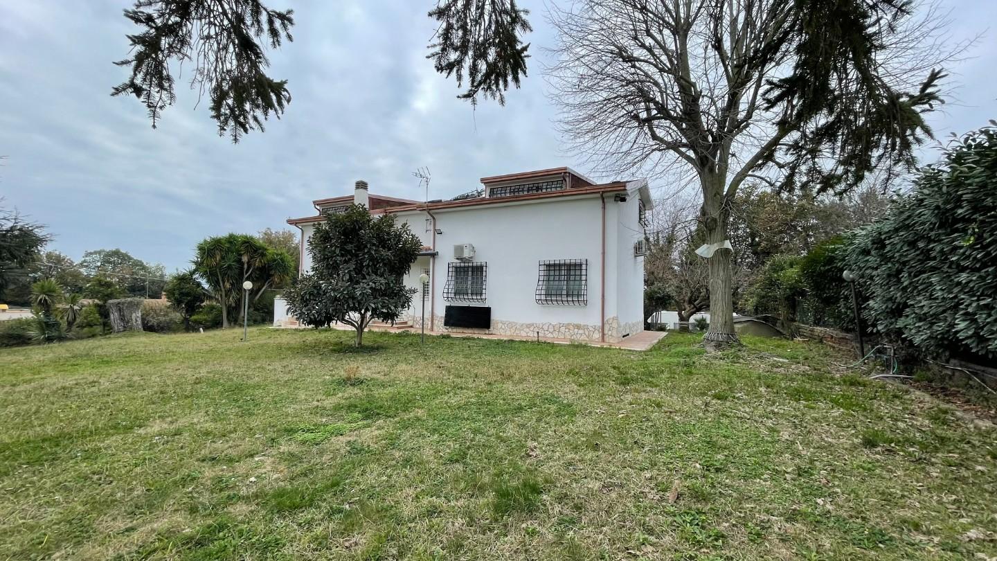 Foto annuncio 18
