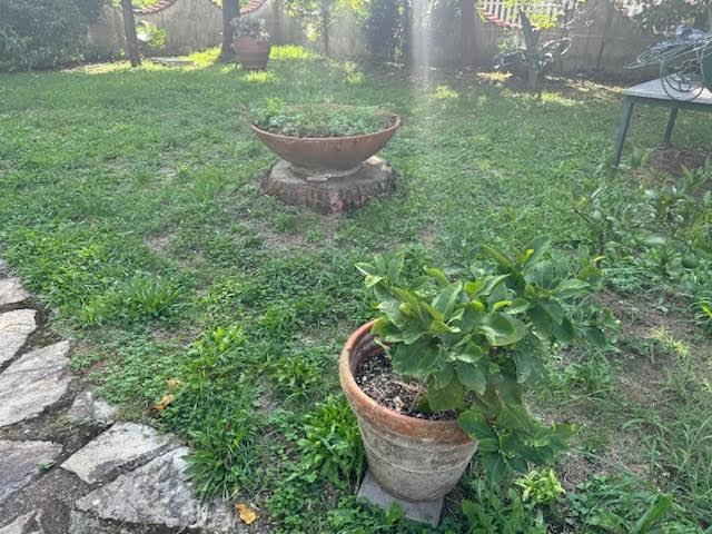 Immagine 4 di Villa in vendita  a San Giuliano Terme