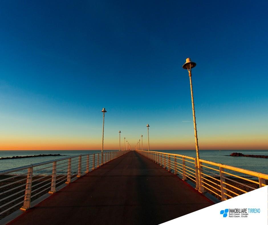 Immagine 1 di Bar / Ristorante in vendita  a Massa