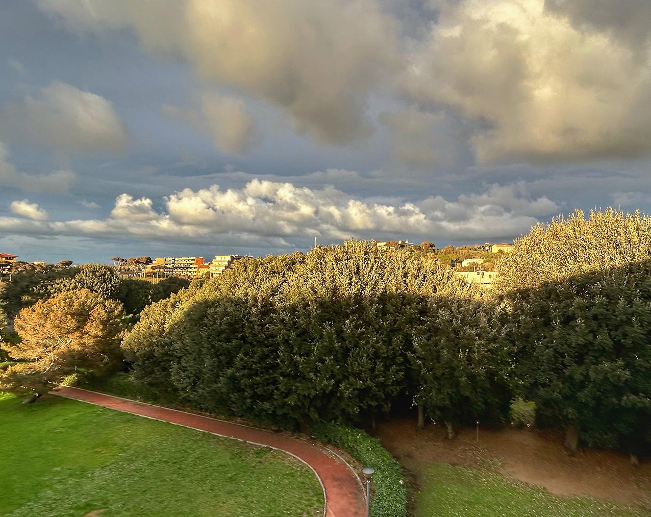 Immagine 3 di Appartamento in vendita  a Livorno