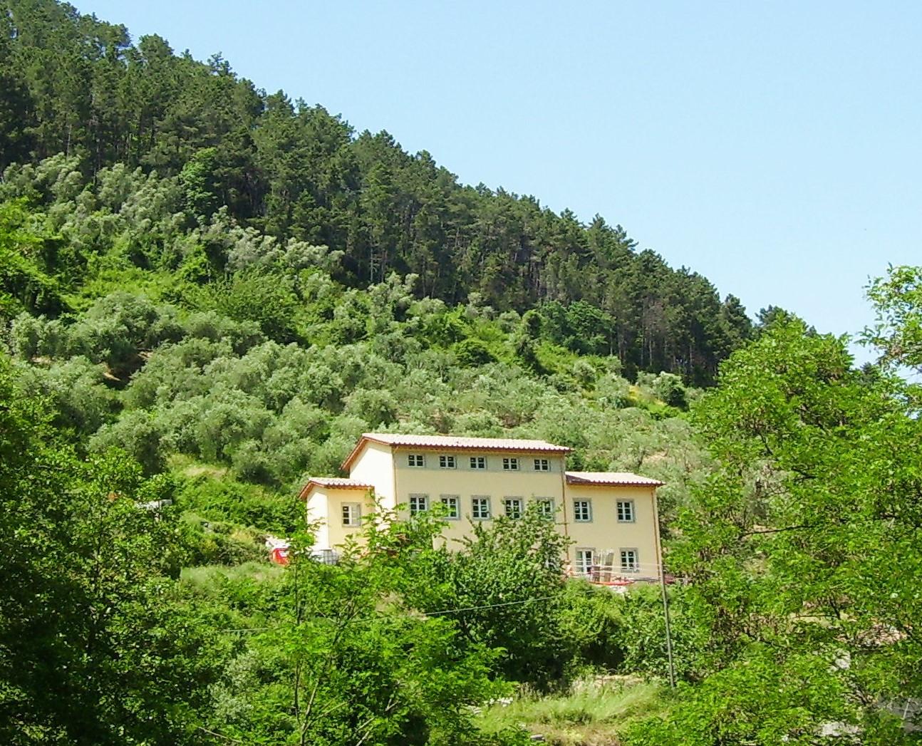 Foto annuncio 12