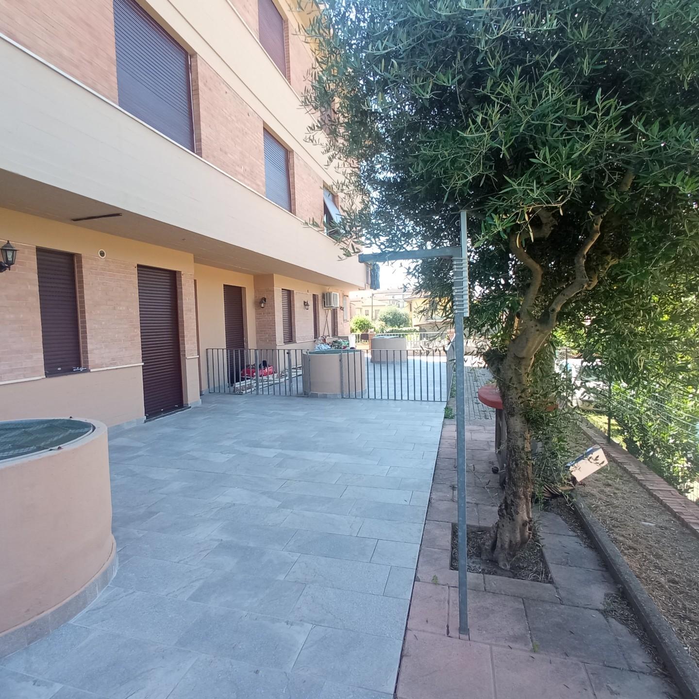 immagine annuncio 0 di 15