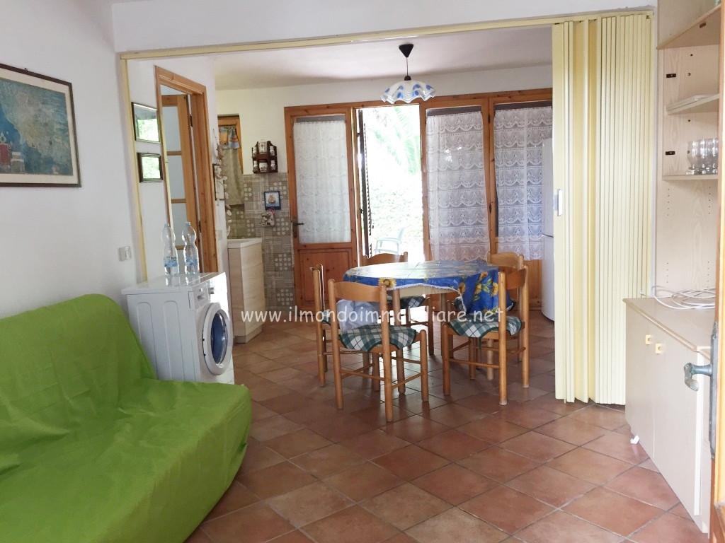 Foto annuncio 7