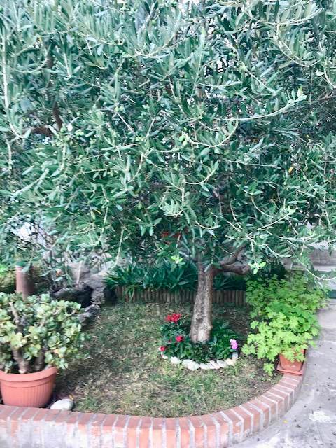 Immagine 1 di Terratetto in vendita  a Massa