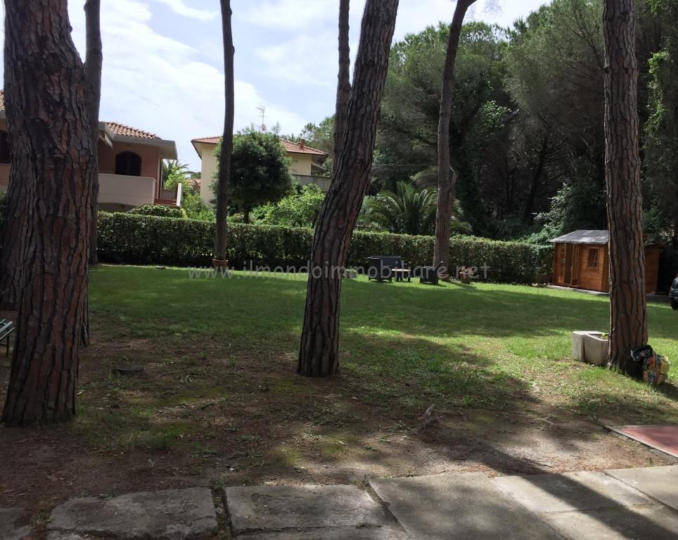 Foto annuncio 16
