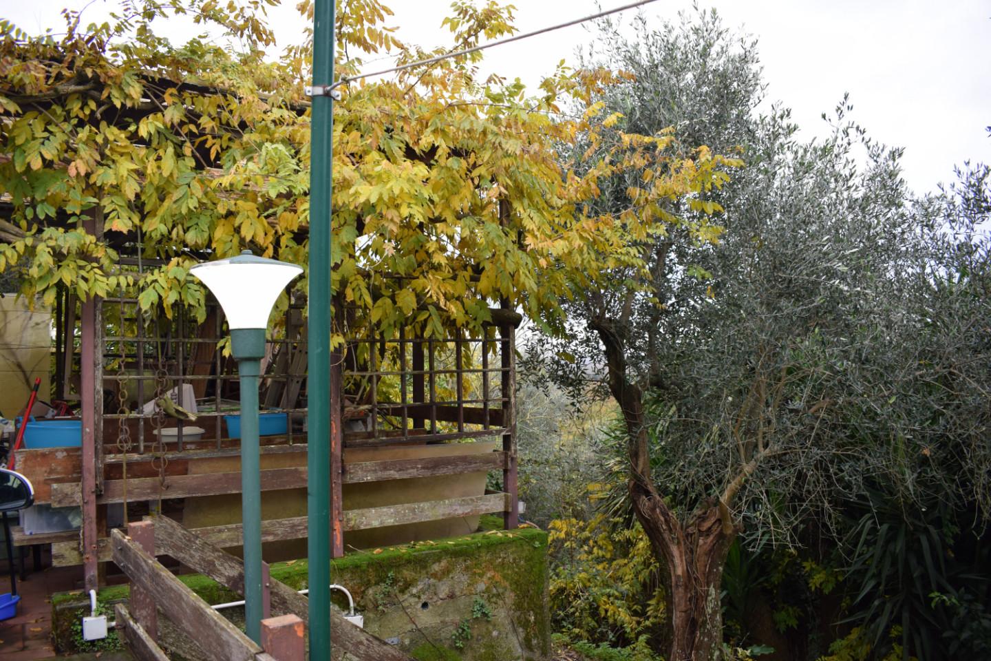 Immagine 27 di Rustico / casale in vendita  a Calci