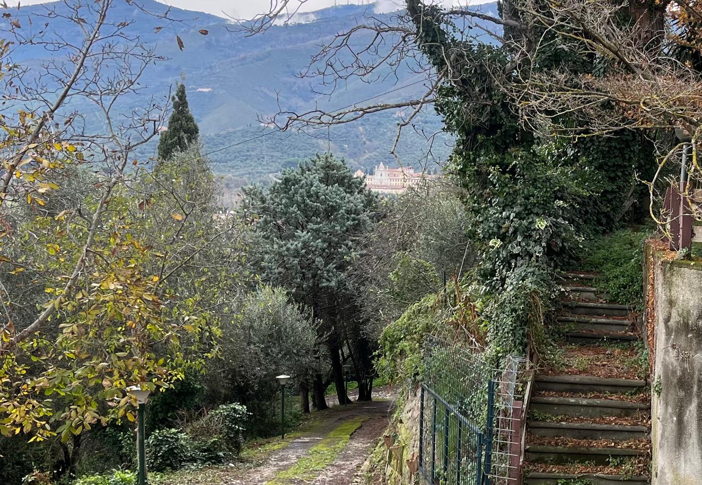 Immagine 17 di Rustico / casale in vendita  a Calci