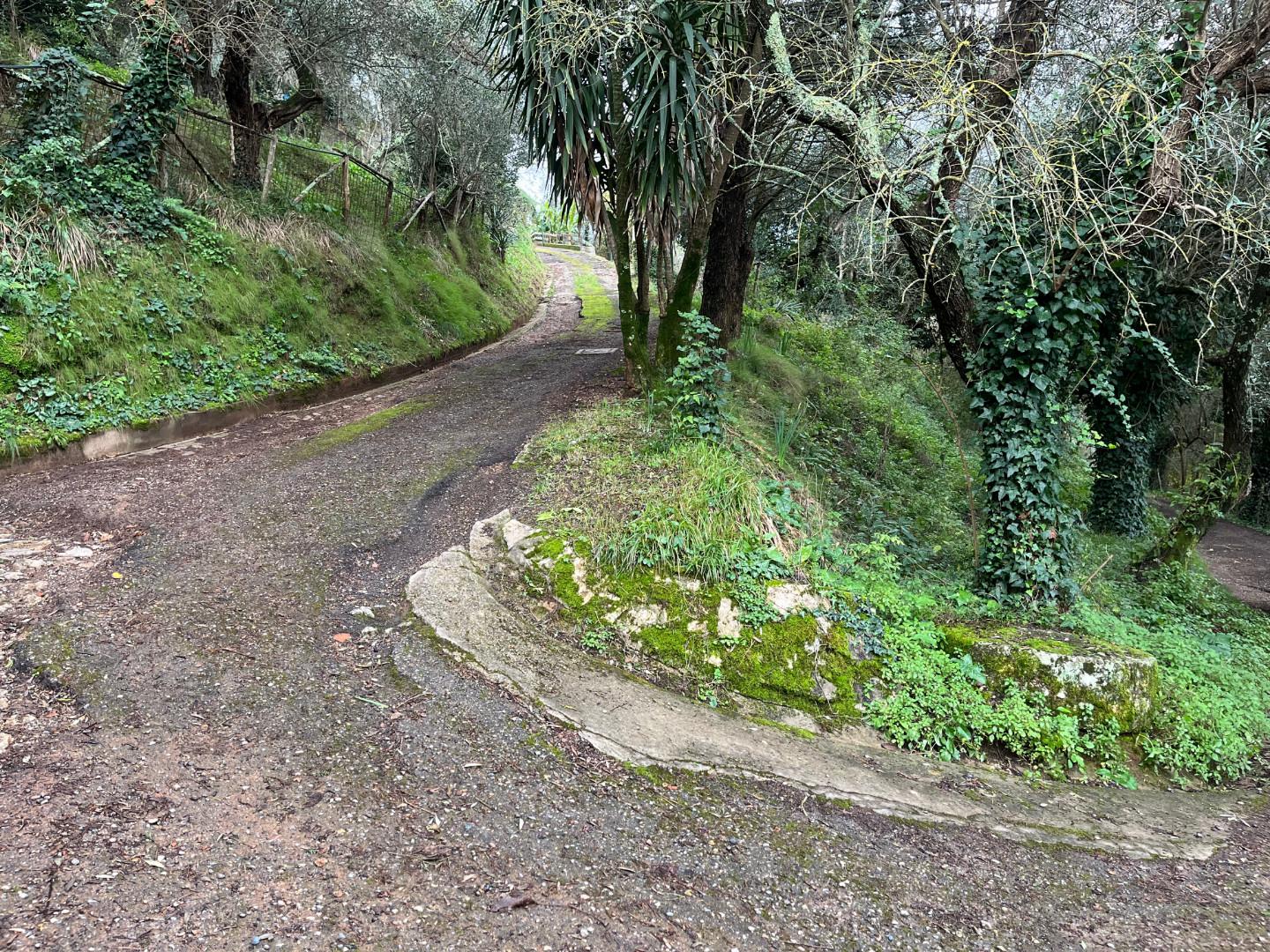 Immagine 18 di Rustico / casale in vendita  a Calci