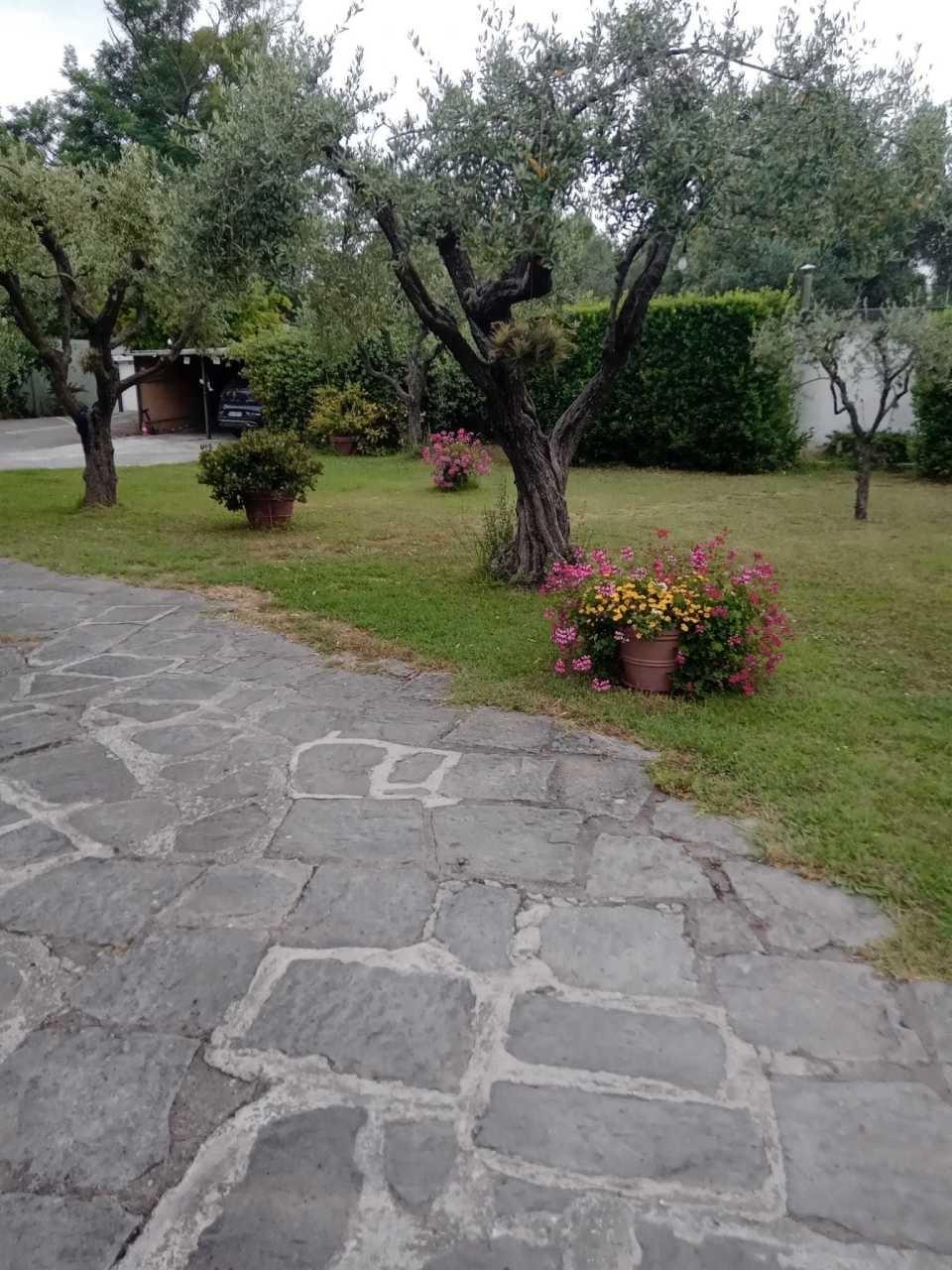 Foto annuncio 66
