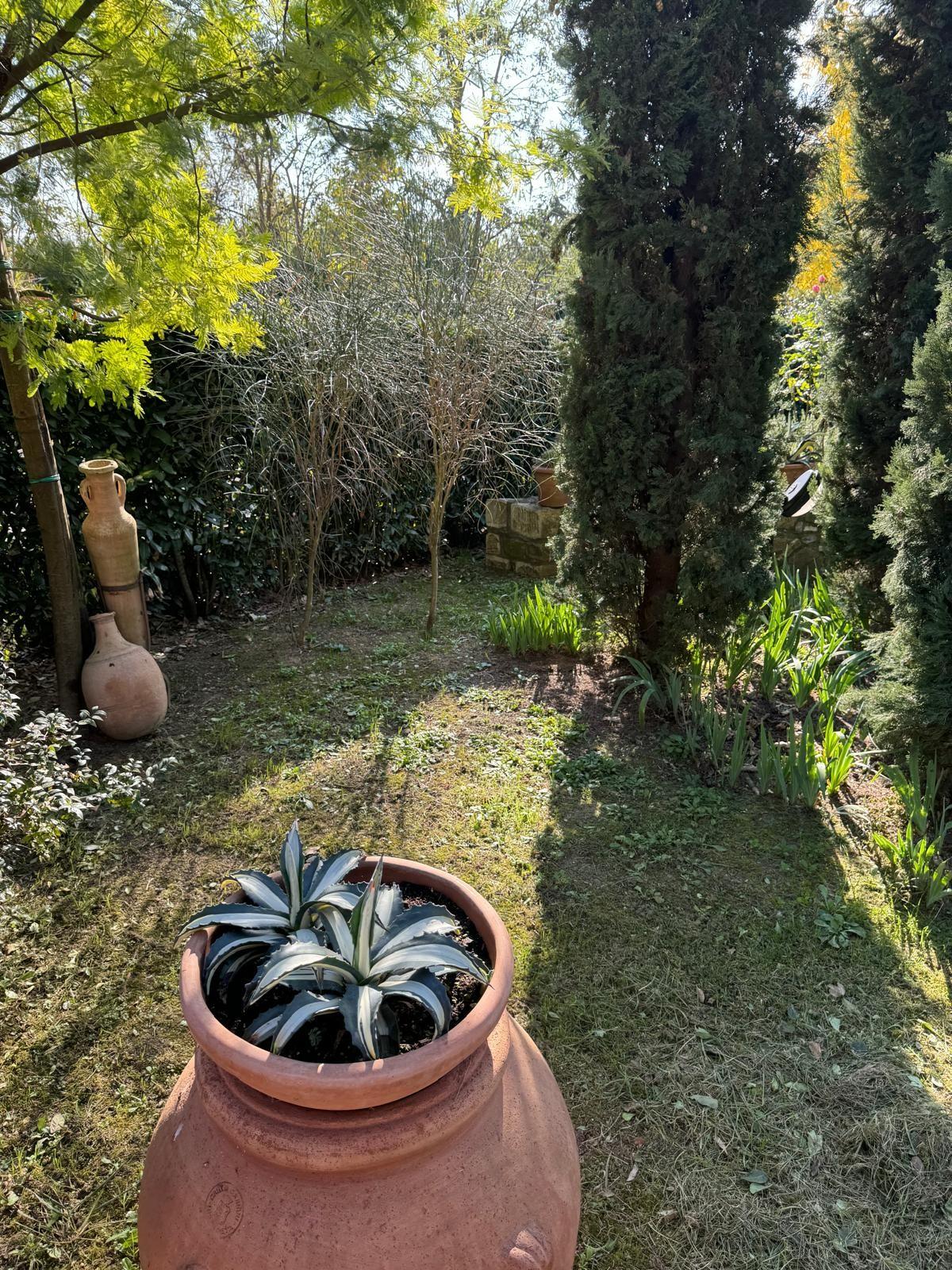 Immagine 26 di Villetta a schiera in vendita  a Monteroni D'arbia