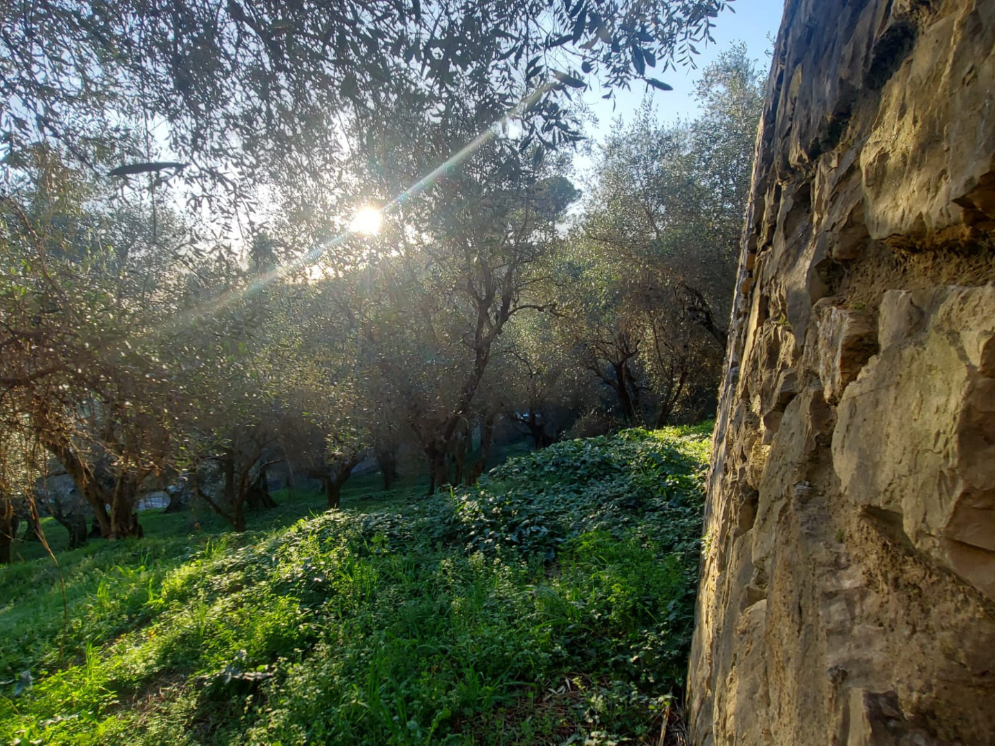 Foto annuncio 1