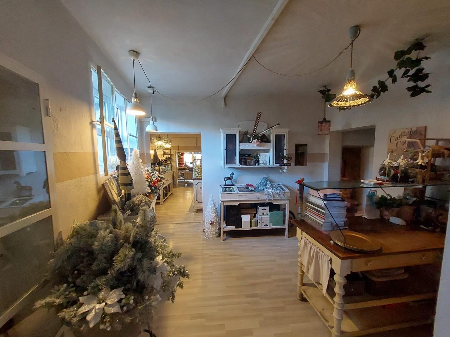 Immagine 5 di Locale commerciale in vendita  a Bientina