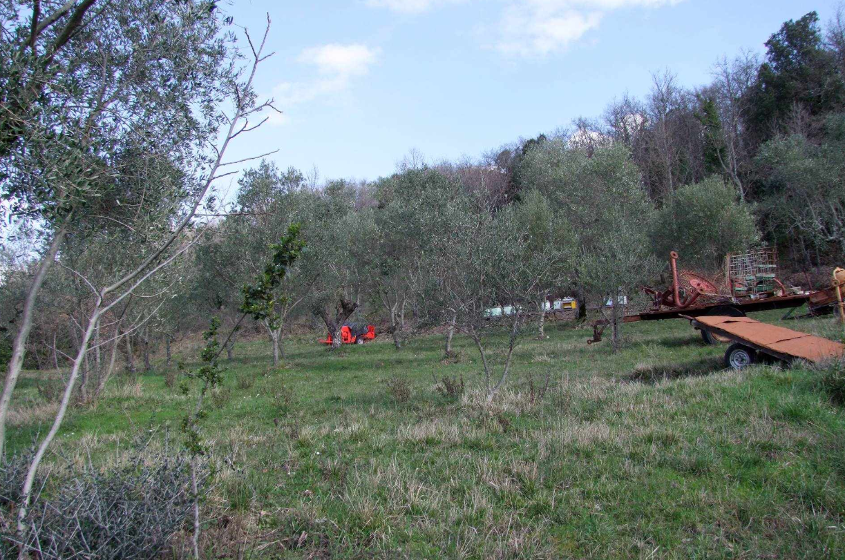 Foto annuncio 14