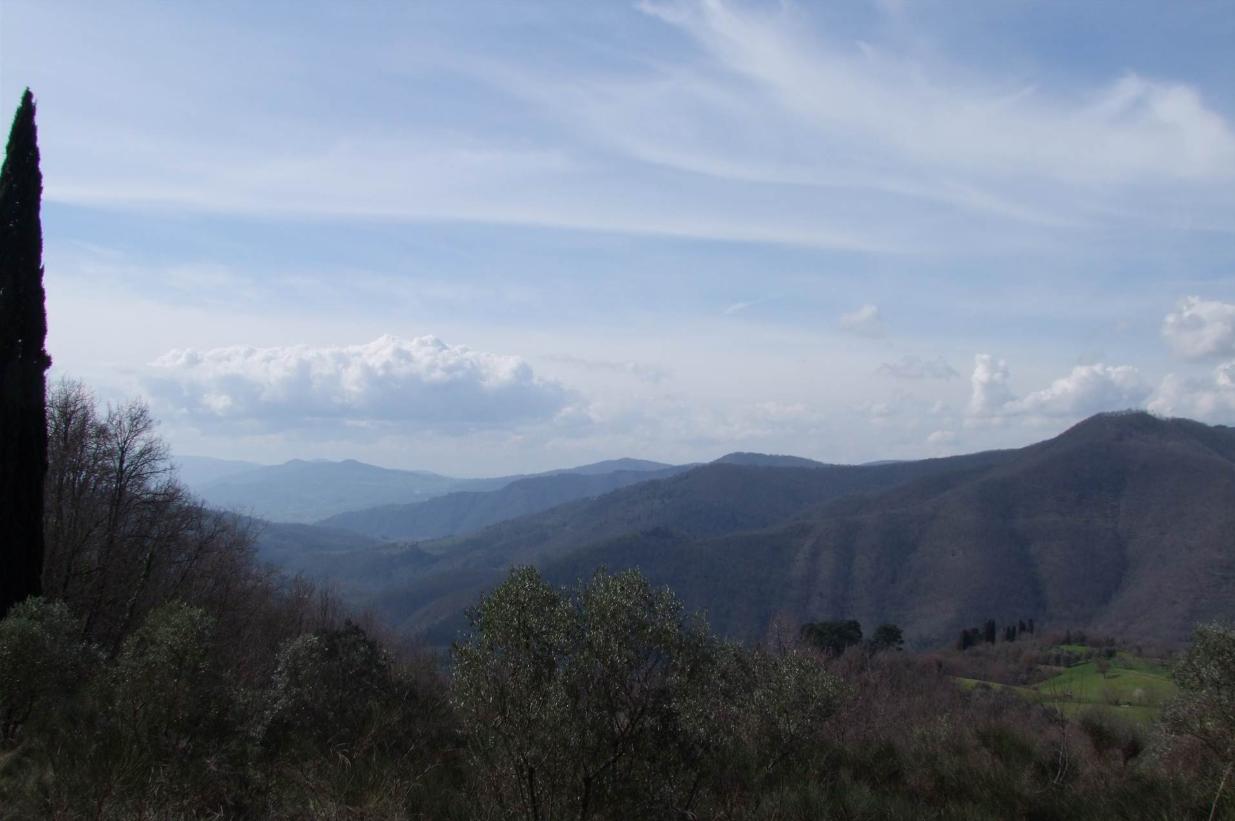Foto annuncio 18
