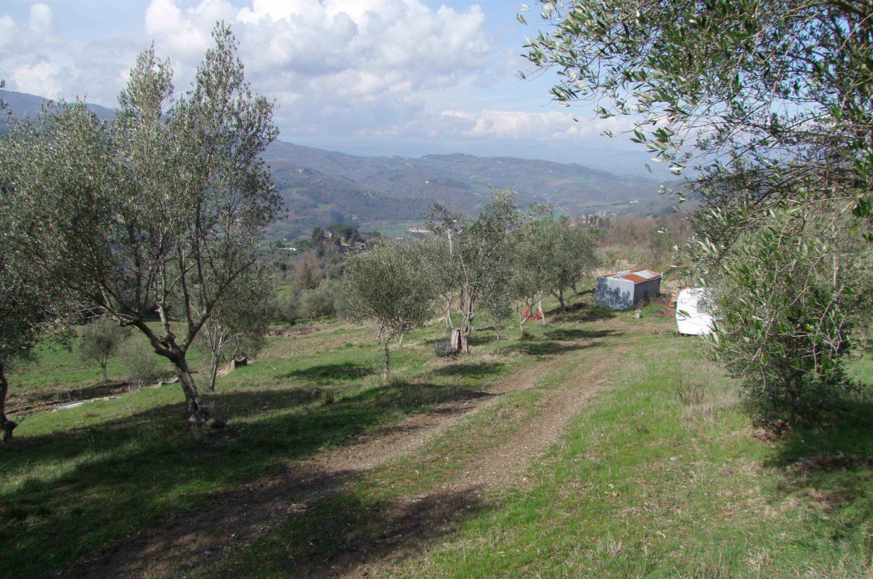 Foto annuncio 2
