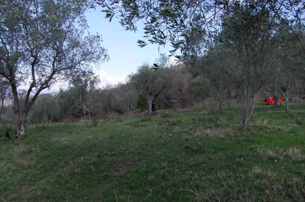 Foto annuncio 8