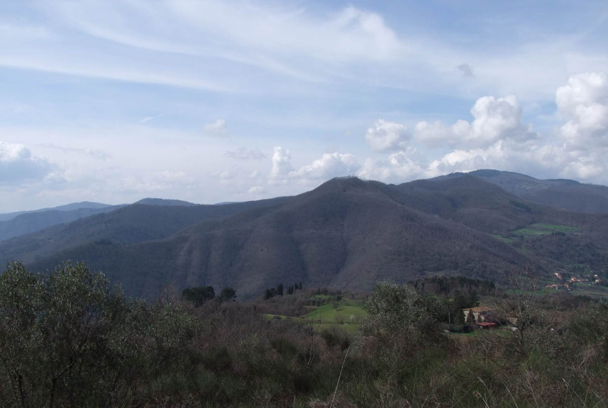 Foto annuncio 19