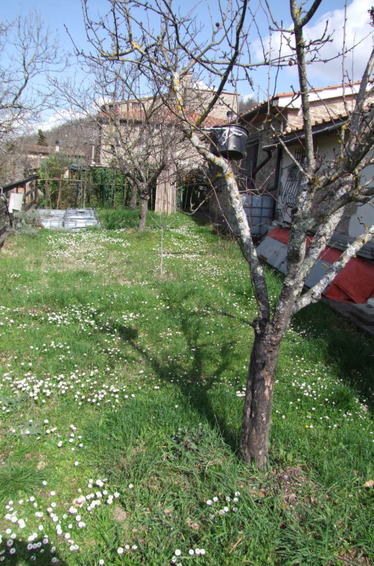 Foto annuncio 1