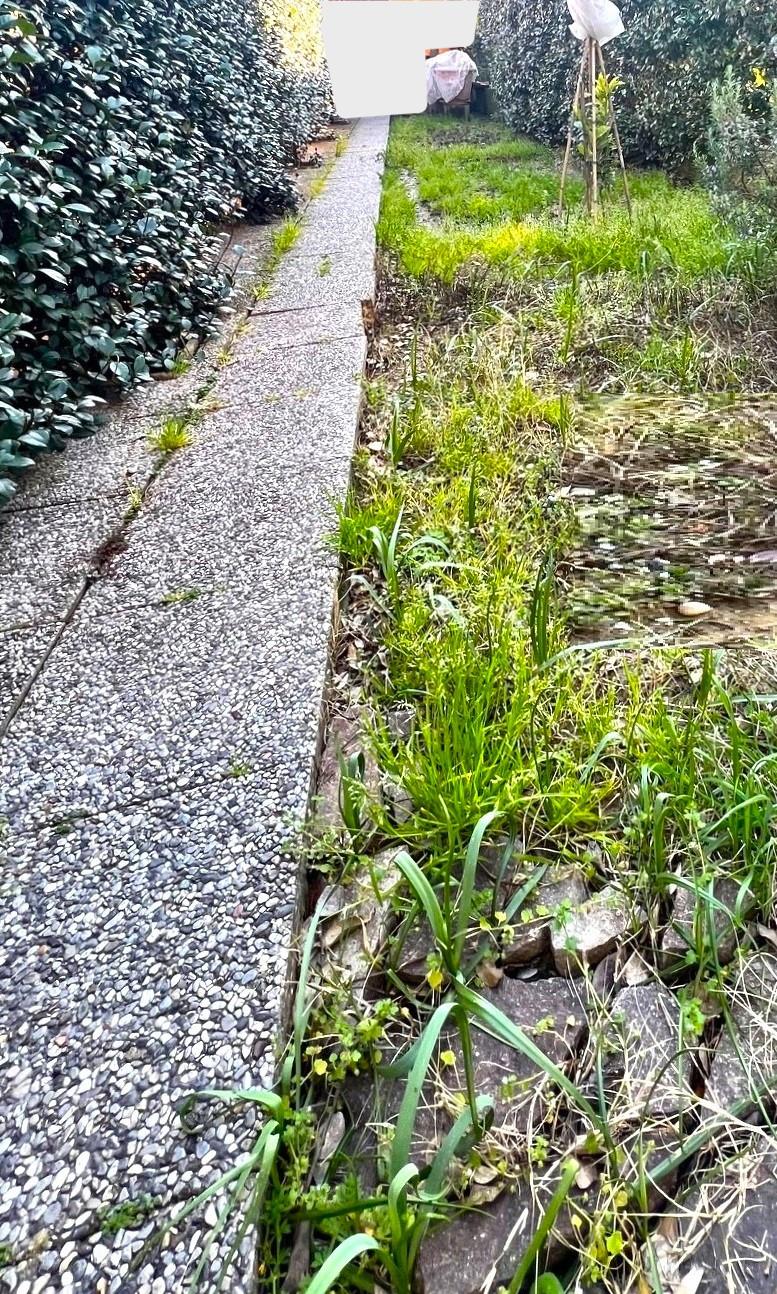 Immagine 31 di Appartamento in vendita  a Montelupo Fiorentino