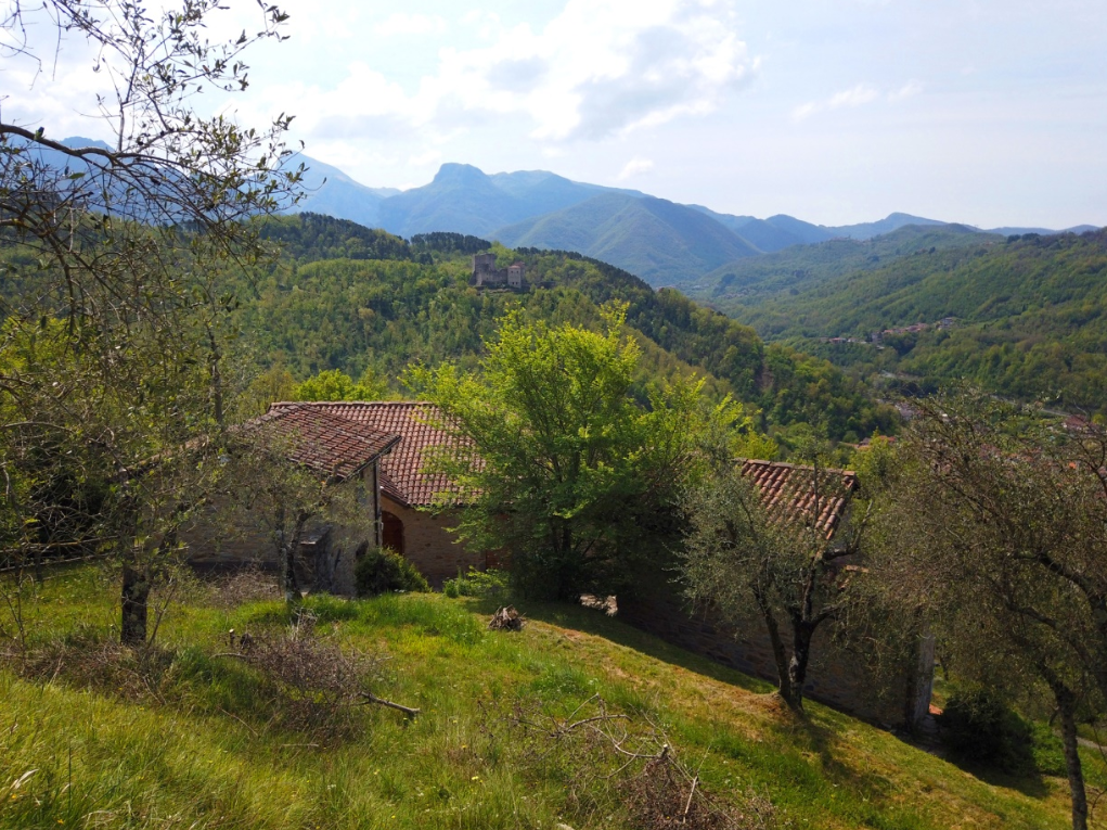Foto annuncio 13