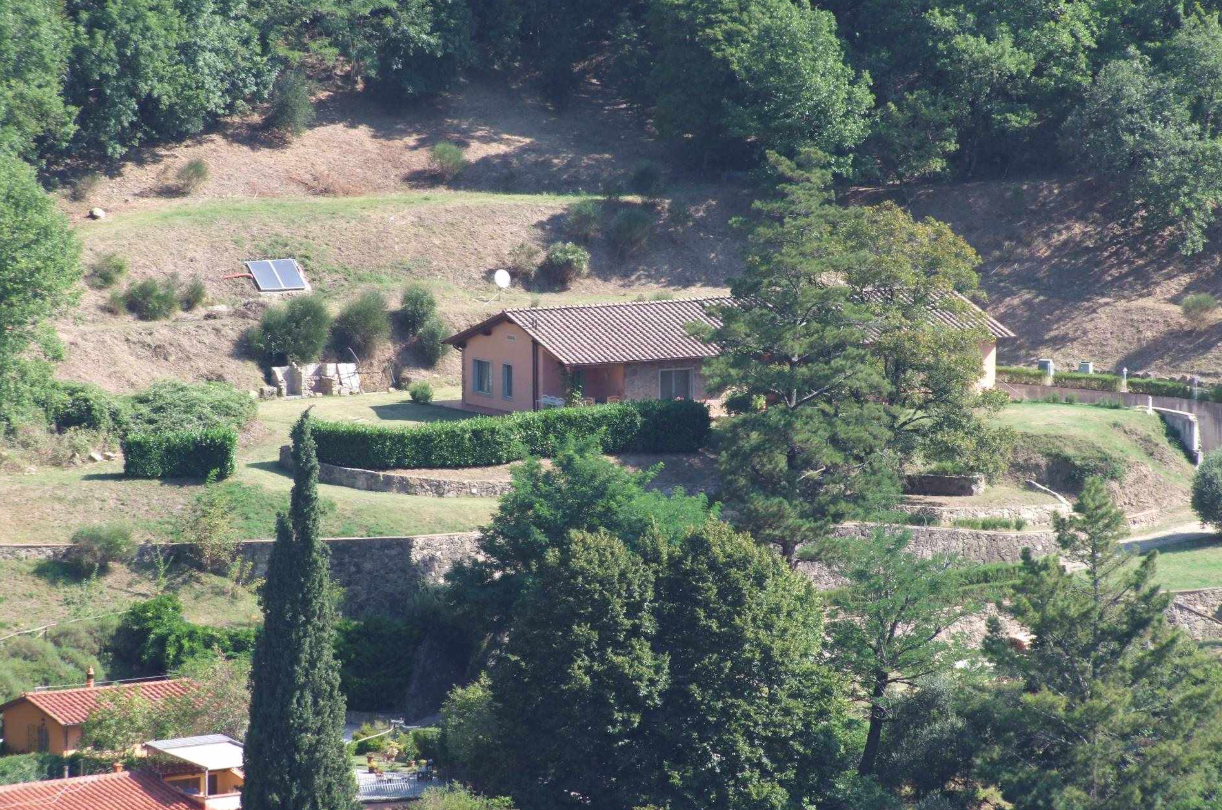 Foto annuncio 6