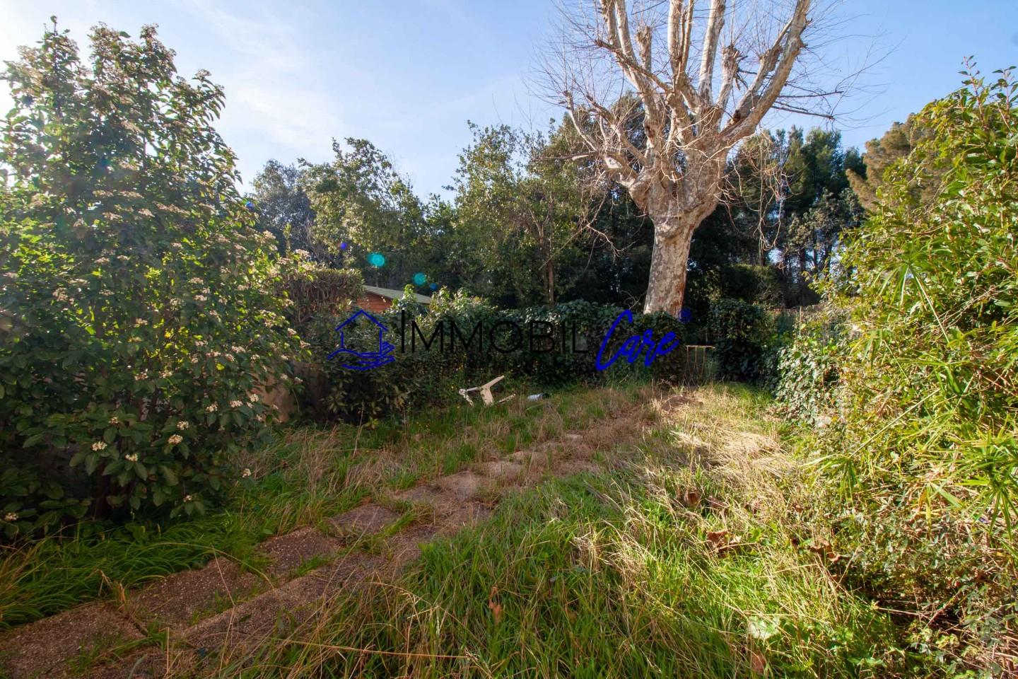 Immagine 23 di Appartamento in vendita  a Livorno