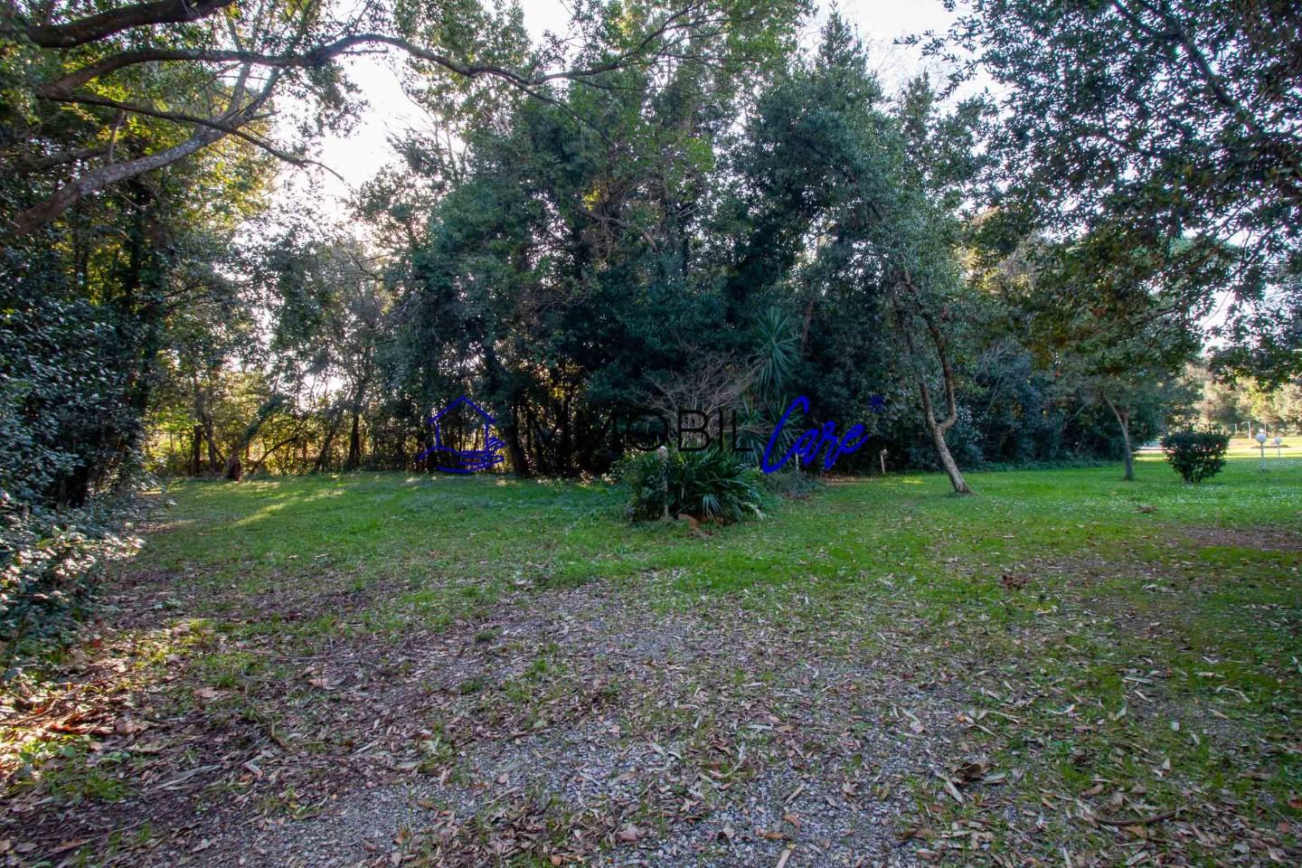 Immagine 29 di Appartamento in vendita  a Livorno