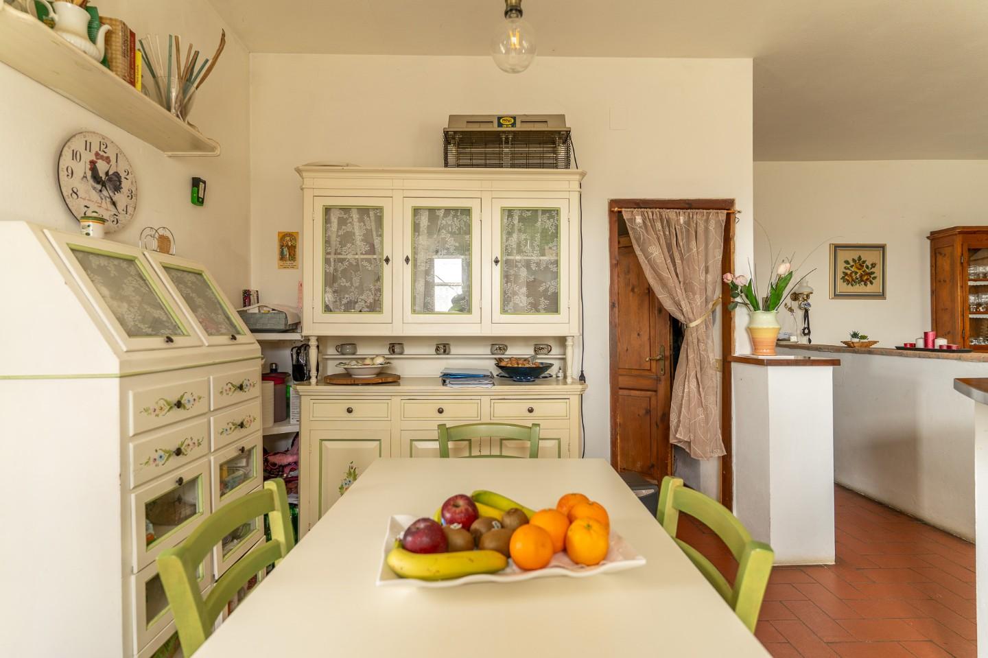 Immagine 22 di Casa colonica in vendita  a Montespertoli