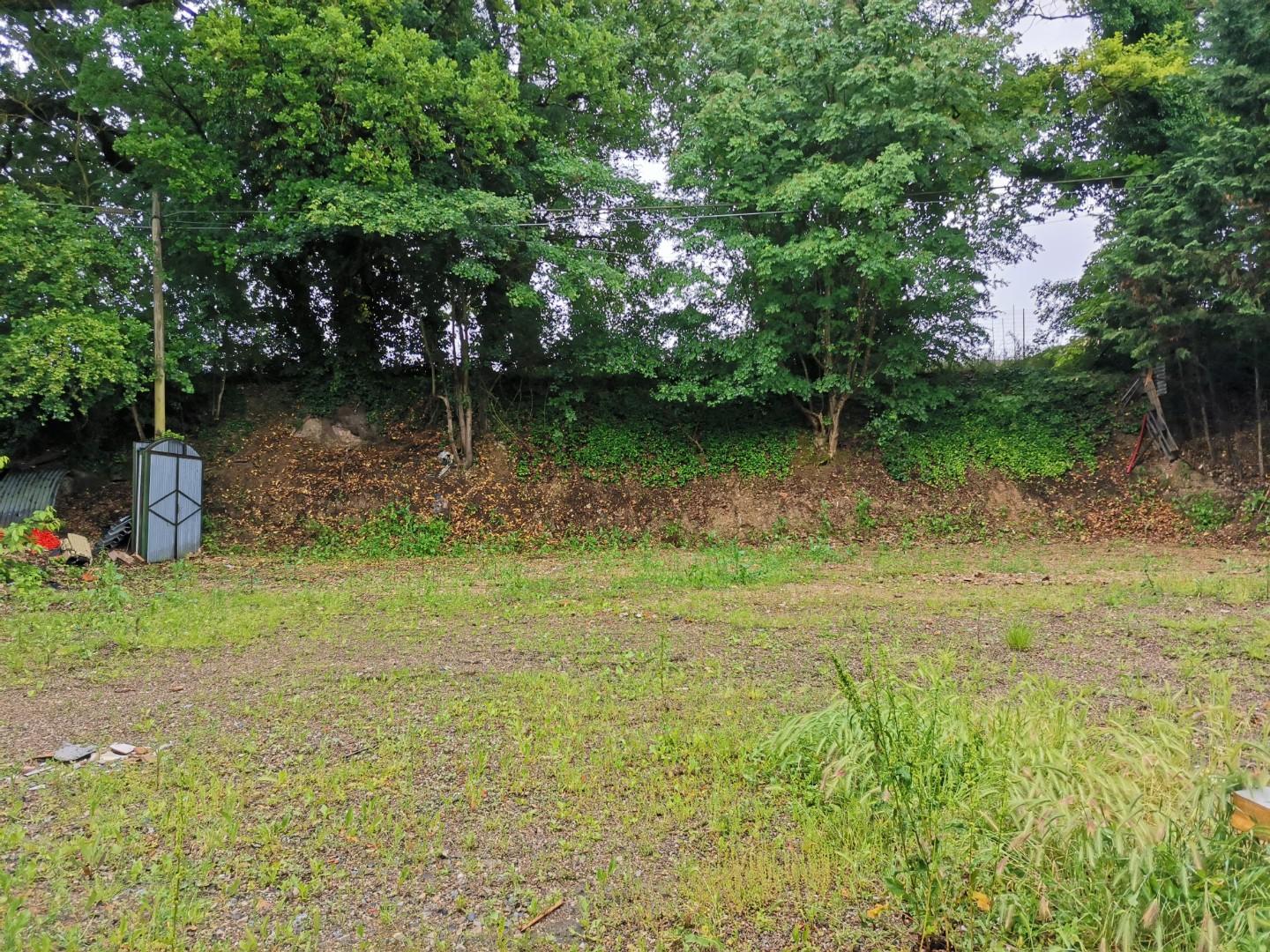 Immagine 10 di Terreno agricolo in vendita  a Poggibonsi