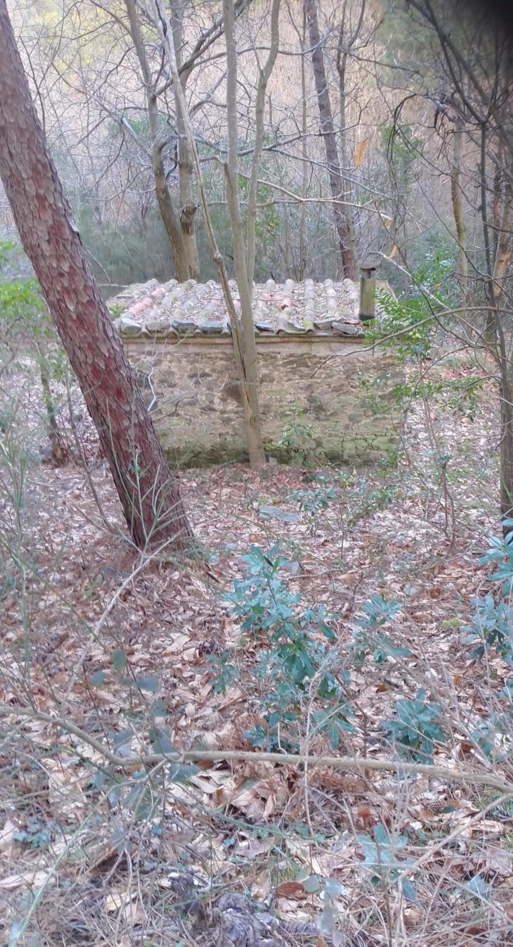 Immagine 1 di Terreno agricolo in vendita  a Capannori