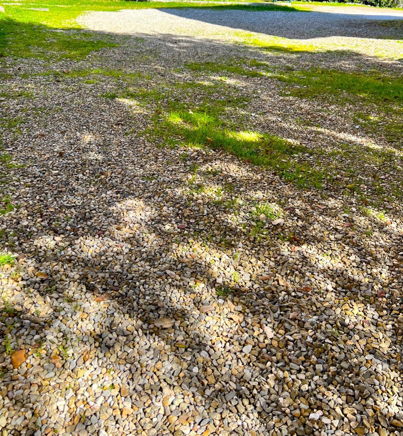 Immagine 2 di Appartamento in vendita  a Montelupo Fiorentino