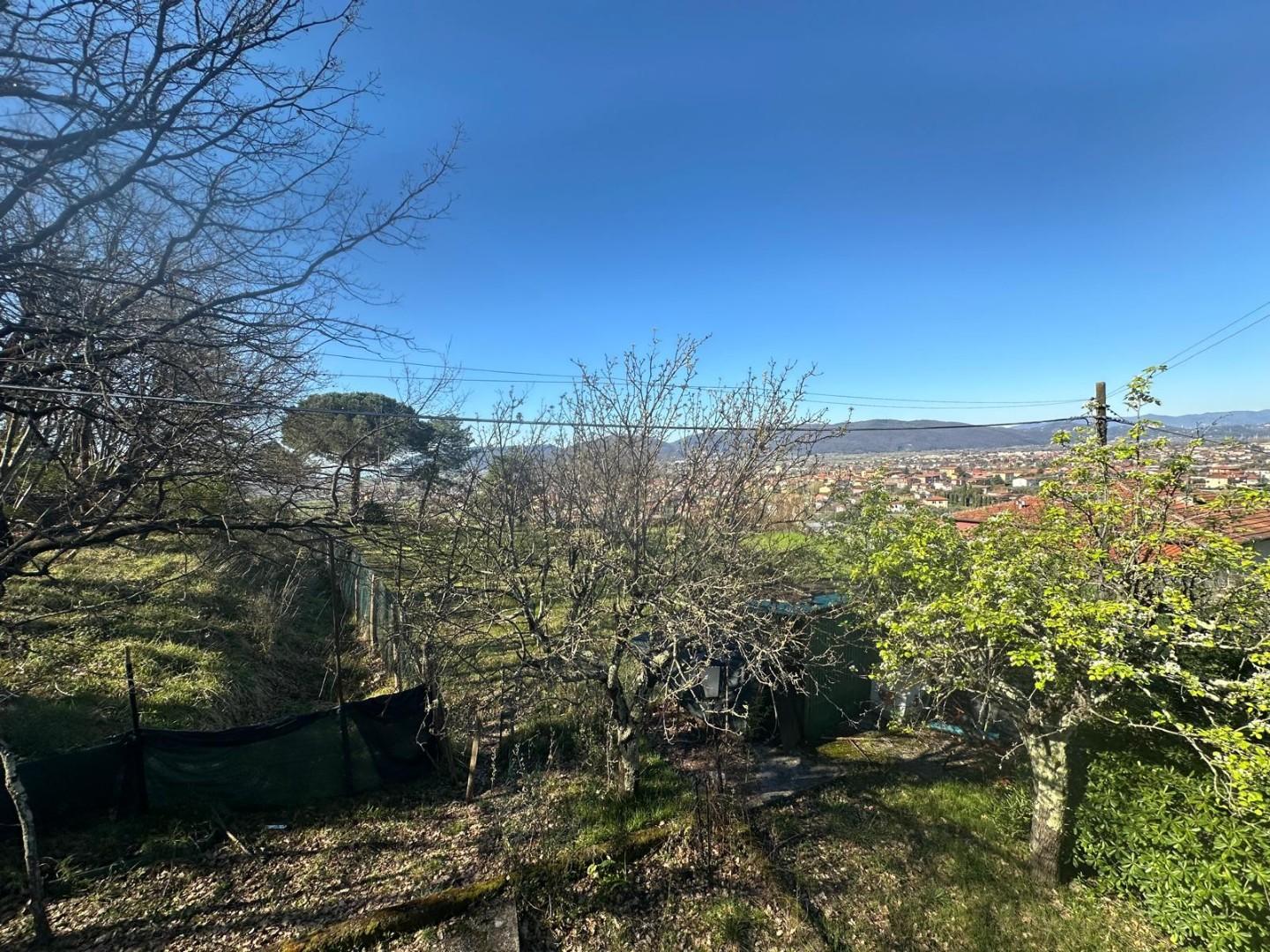 Foto annuncio 20