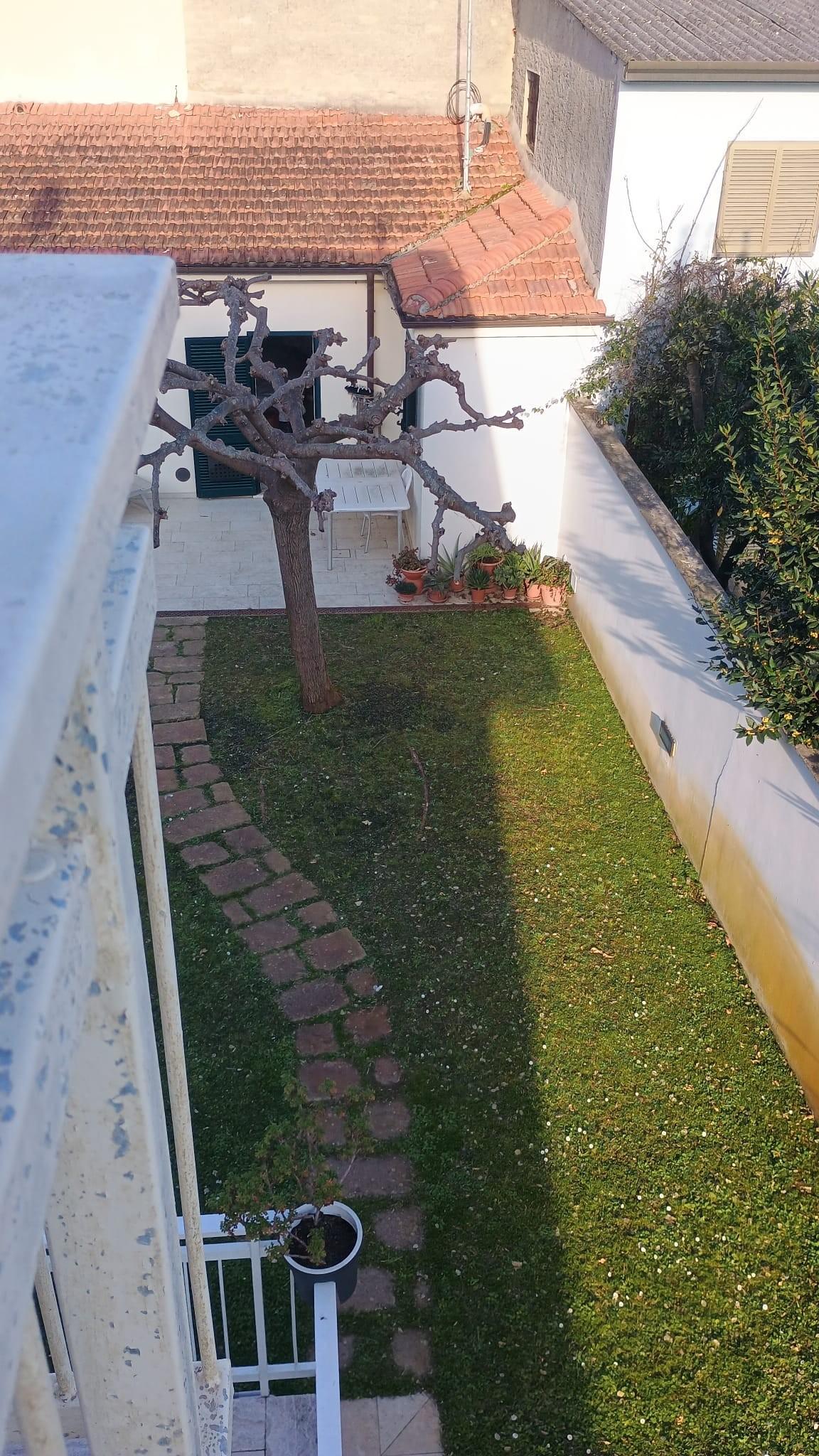 Foto annuncio 66