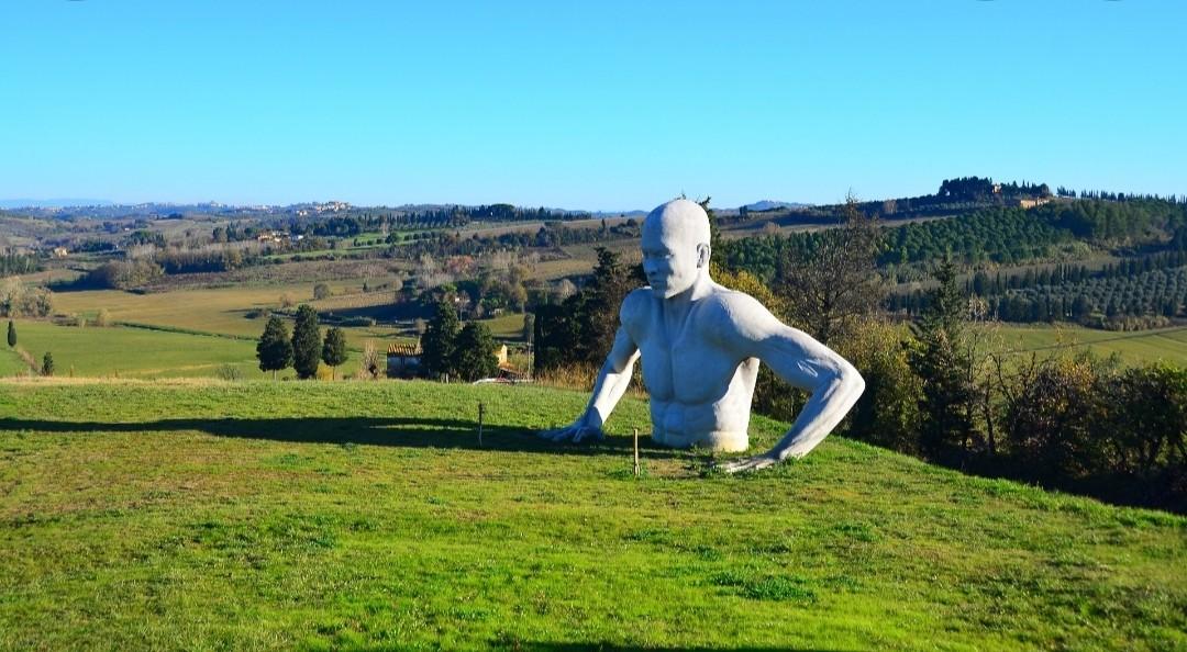 Immagine 1 di Locale commerciale in vendita  a Peccioli