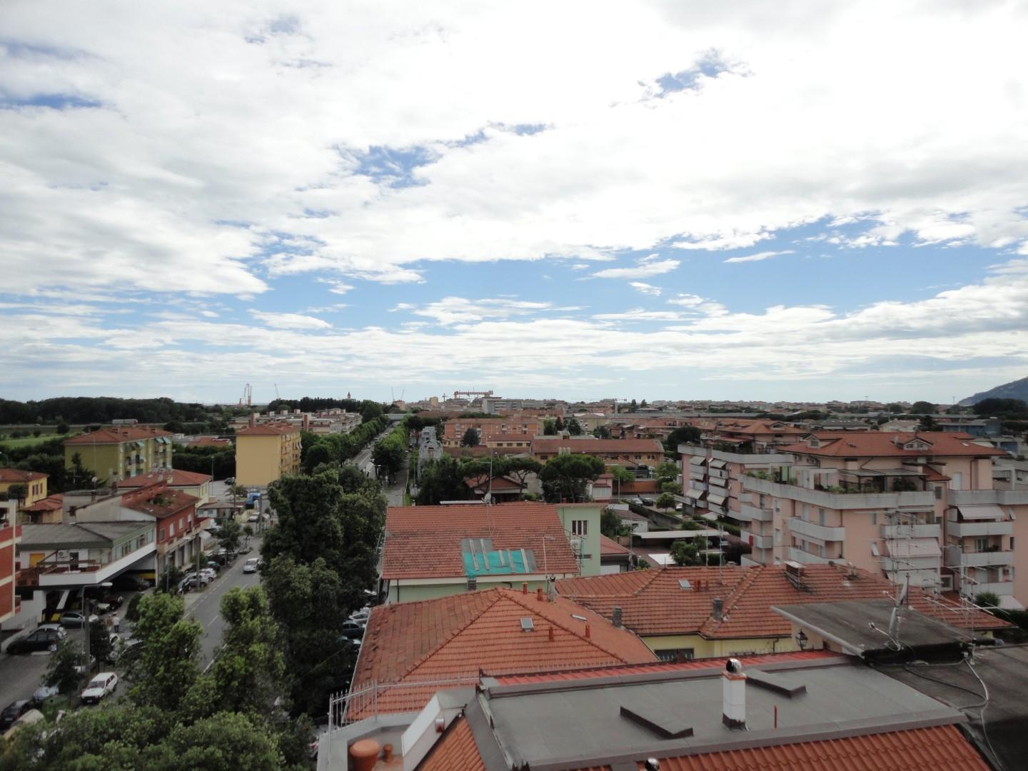 Immagine 5 di Negozio in affitto  a Carrara