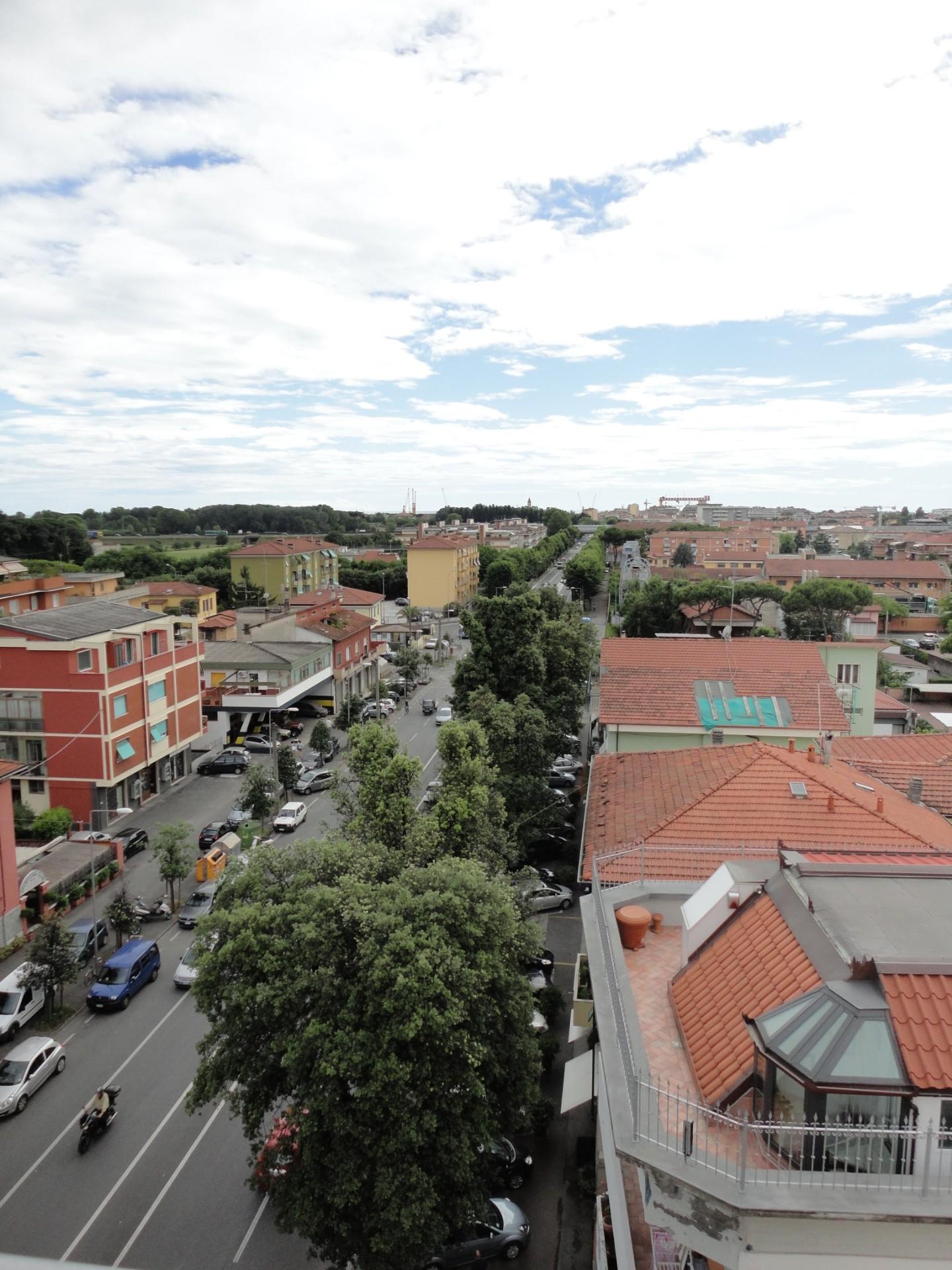 Immagine 6 di Negozio in affitto  a Carrara